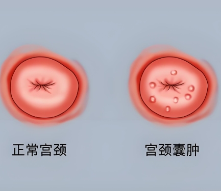 泰安俪人妇产医院