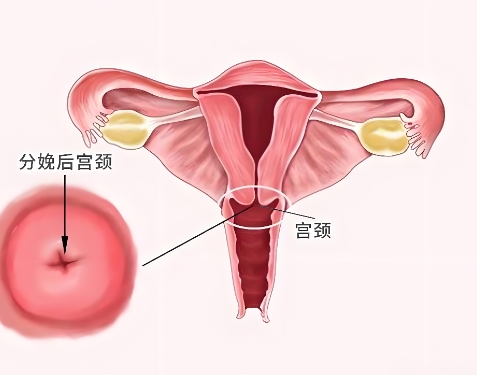 泰安俪人妇产医院无痛人流