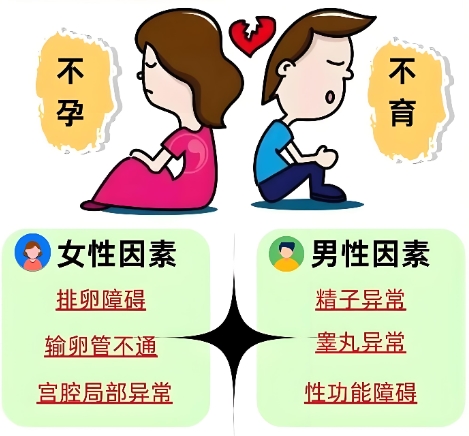 不孕不育 不孕不育