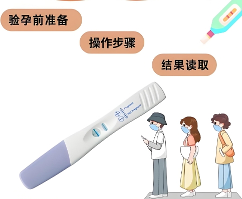 早孕检查1 早孕检查1