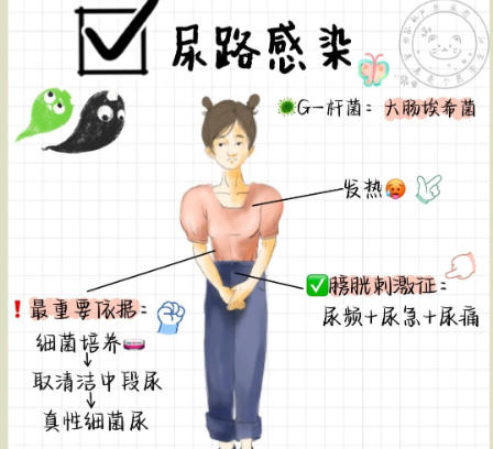尿道炎 尿道炎